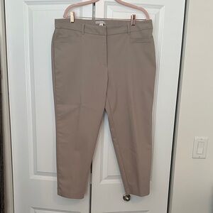 Dana Buchman Beige Dress Pants 16 petite